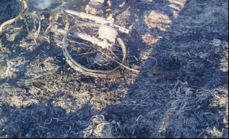 Vítima de 26 anos morreu no local. Caso aconteceu próximo a Filadélfia, no norte do Tocantins.